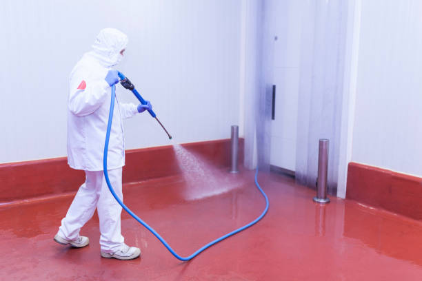 Best Graffiti Removal  in Wauconda, IL