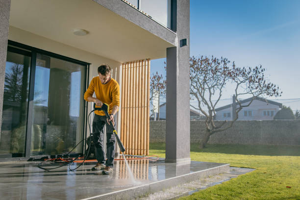 Best Pre-Holiday Cleaning  in Wauconda, IL