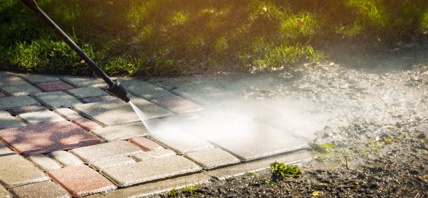 Best Fence Cleaning  in Wauconda, IL